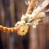 demi-couronne-de-fleurs-sechees-francaise-sur-une-base-en-macrame-couleurs-moutarde-et-jaune